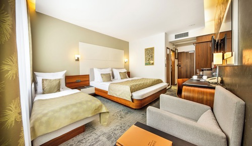 Superior Double Room with Extra Bed