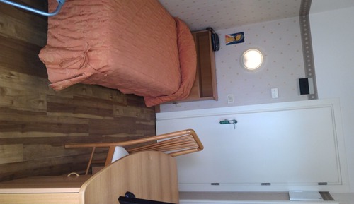 Habitación individual clásica