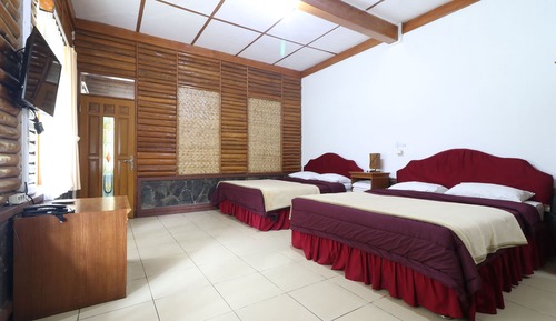 Habitación cuádruple familiar