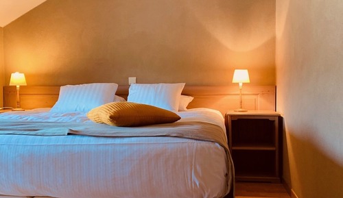 Habitación clásica con 1 cama doble o 2 individuales