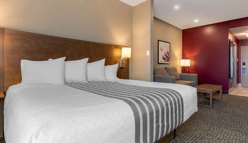 Suite, 1 cama de matrimonio grande, no fumadores (Shower Only;with Sofabed)