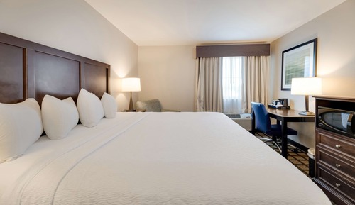 Habitación estándar, 1 cama de matrimonio grande, no fumadores, frigorífico y microondas