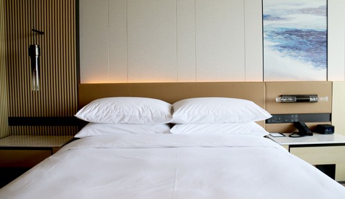 Habitación, 1 cama de matrimonio grande con sofá cama