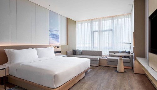 Habitación ejecutiva, 1 cama de matrimonio grande con sofá cama