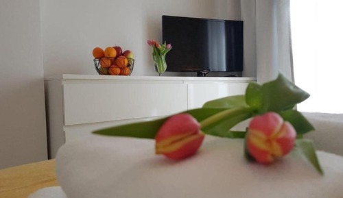 Apartamento estándar