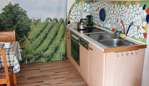 Apartamento (FEWO Weingartenblick)