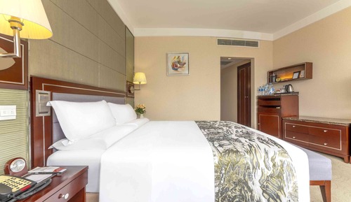 Habitación individual superior