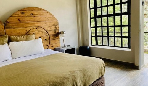 Habitación junior
