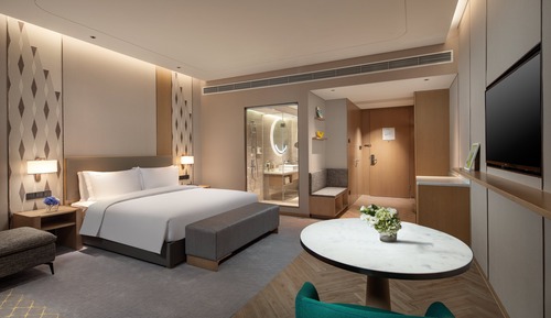 Habitación Premium, 1 cama de matrimonio grande