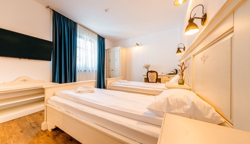Habitación Deluxe con 2 camas individuales