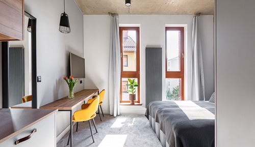 Suite estudio estándar (3)