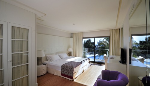 Palm Suite