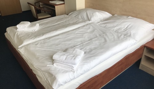 Habitación Confort con 1 cama doble o 2 individuales