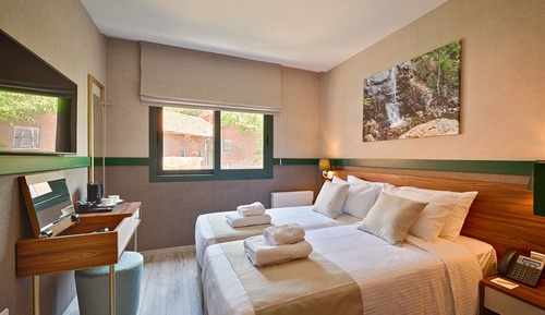 Habitación estándar con 1 cama doble o 2 individuales (with window)