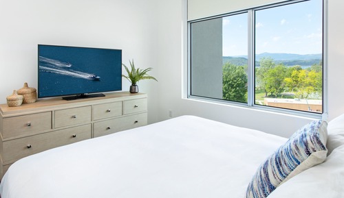 1 Bedroom Partial Lake View