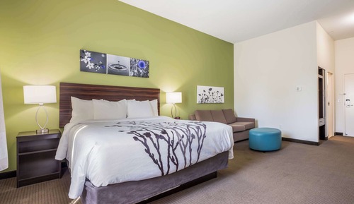 Suite Business, 1 cama de matrimonio grande, no fumadores (Efficiency)