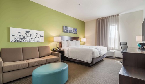 Suite, 1 cama de matrimonio grande, no fumadores (Efficiency)