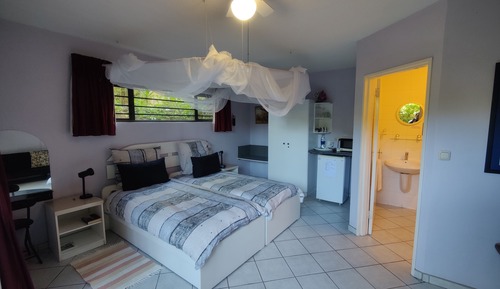 Habitación de lujo con 1 cama doble o 2 individuales