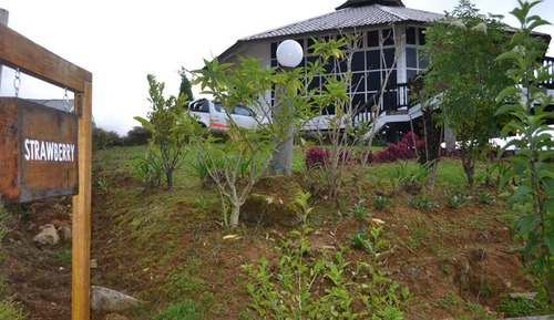 Chalet estándar, 3 habitaciones (Strawberry)