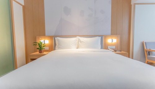 Suite, varias camas