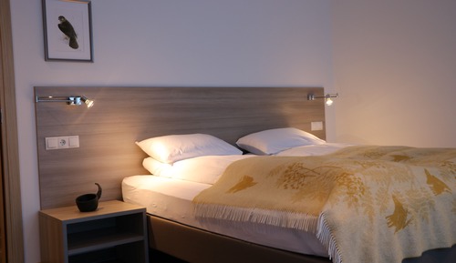 Habitación con 1 cama doble o 2 individuales, baño privado, vistas al lago