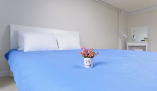 Estudio Premium, 1 habitación