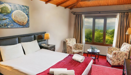 Habitación estándar, vistas al lago