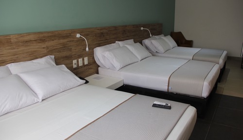 Suite estudio familiar