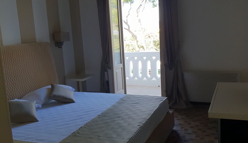 Habitación junior doble, balcón, vistas al jardín