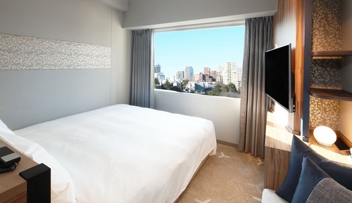 Habitación Confort doble, 1 cama de matrimonio grande, no fumadores, vistas a la ciudad (King Bed)