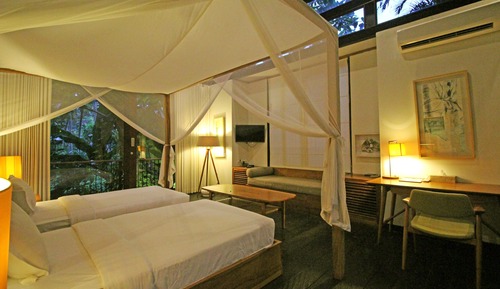 Suite Premium, 1 habitación, vistas al río
