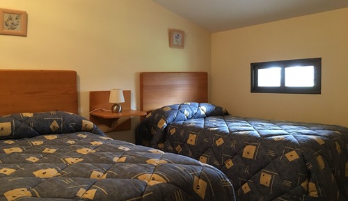 Single Room (no pets allowed)