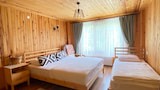 Design Triple Room, Multiple Beds, Non Smoking