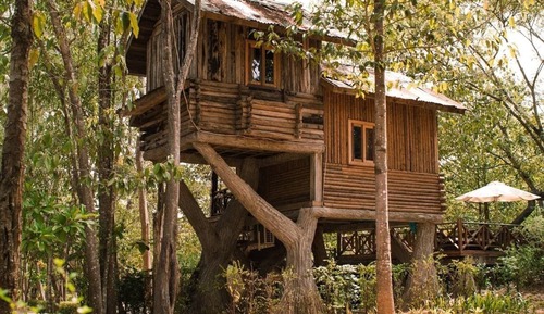 Casa romántica en un árbol, 1 cama de matrimonio grande, vistas al jardín