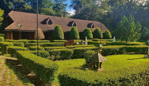 Habitación básica doble, 1 cama de matrimonio, vistas al jardín