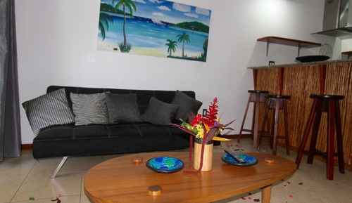 Estudio Confort, cocina, vistas al jardín