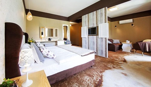 Suite estudio superior