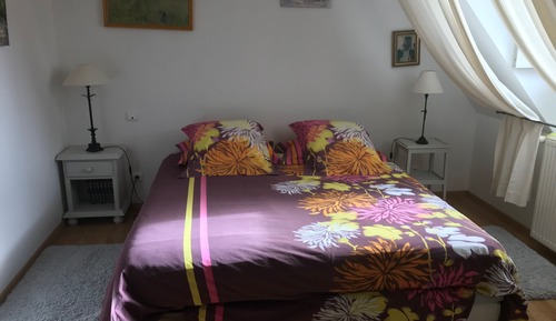 Habitación Confort con 1 cama doble o 2 individuales