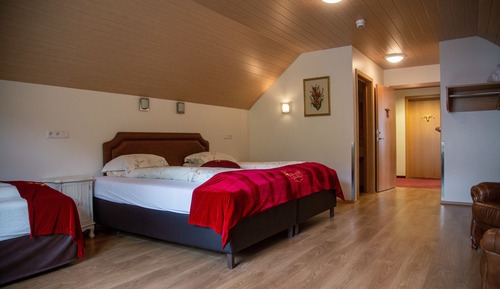 Habitación Deluxe doble
