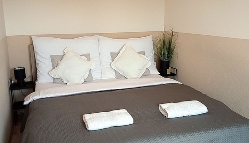 Habitación estándar con 1 cama doble o 2 individuales (5)