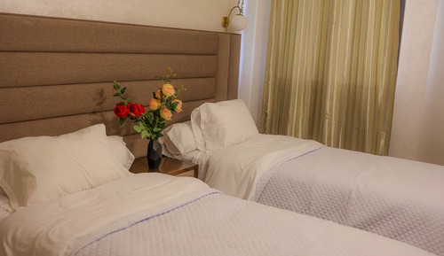 Habitación Deluxe con 2 camas individuales
