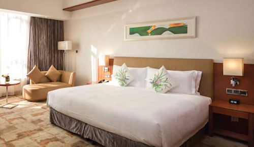 Habitación ejecutiva, 1 cama de matrimonio grande
