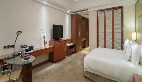 Suite ejecutiva