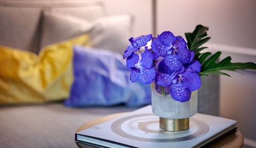 Two Bedroom Premier Suite