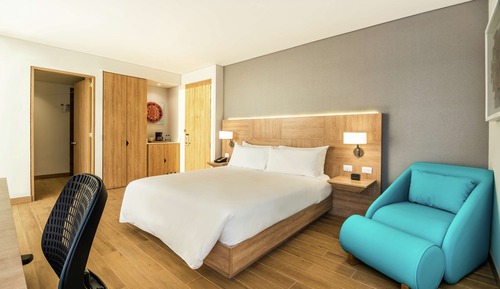 Habitación, 1 cama de matrimonio grande, accesible para personas con discapacidad (Roll-In Shower)