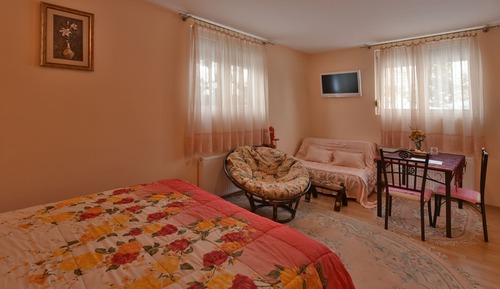 Estudio Deluxe, 1 cama de matrimonio grande con sofá cama, baño privado