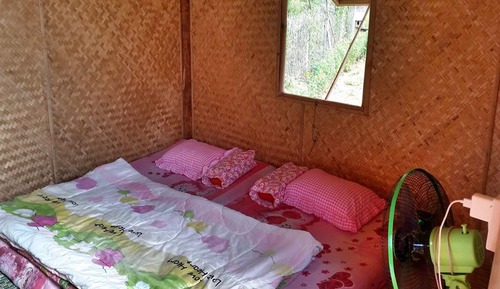 Bamboo Hut
