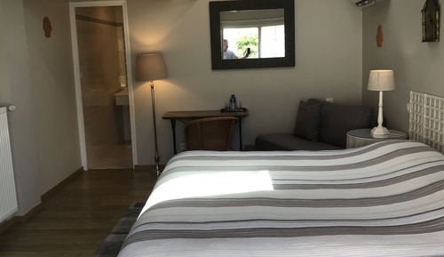 Habitación estándar con 1 cama doble o 2 individuales (air conditioning)