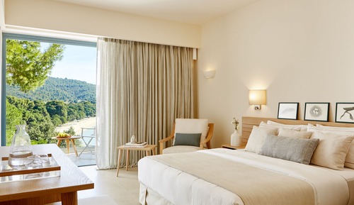 Habitación Deluxe doble (Elivi  Xenia Hotel)