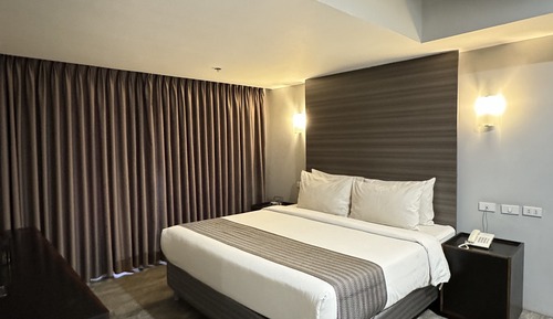 Habitación individual ejecutiva